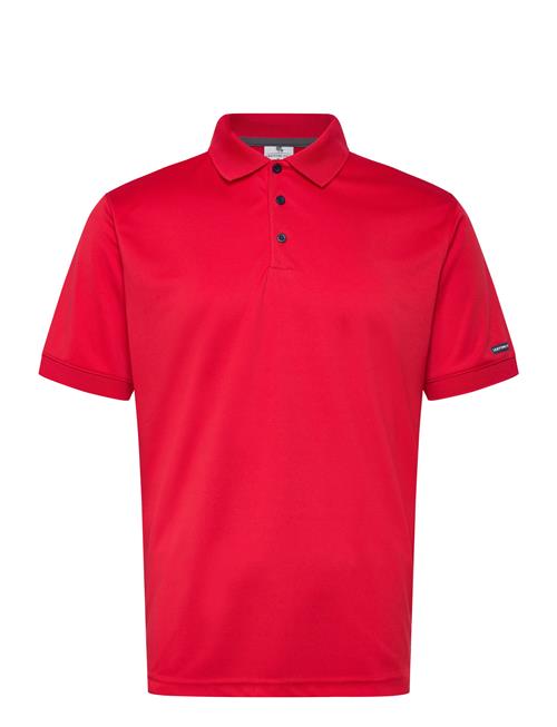 Lexton Links | Bond Polo | M