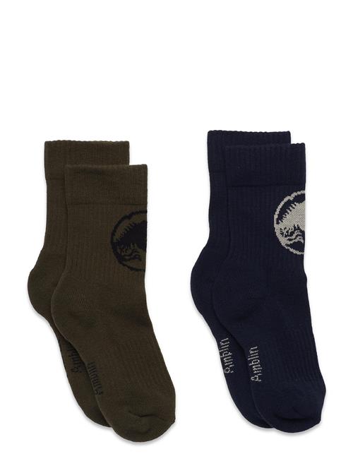 Molo | Norman | 17-19