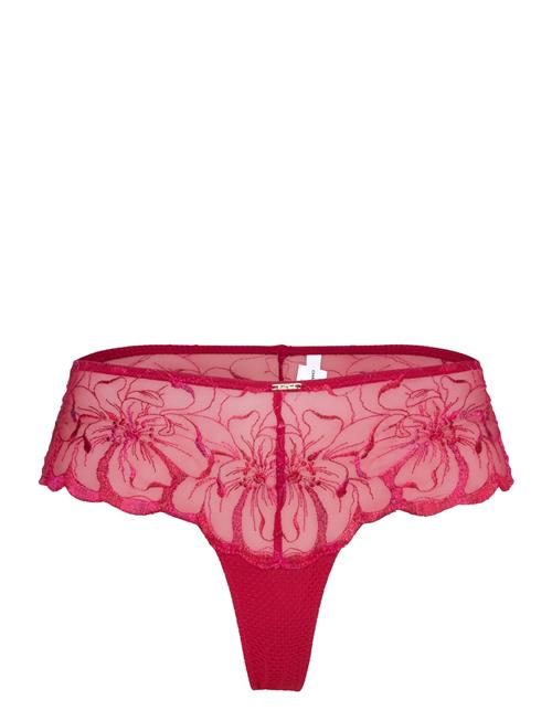 CHANTELLE | Fleurs Revealing Shorty | 36