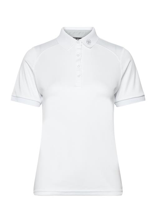 Abacus | Lds Hammel Drycool Polo | XXL