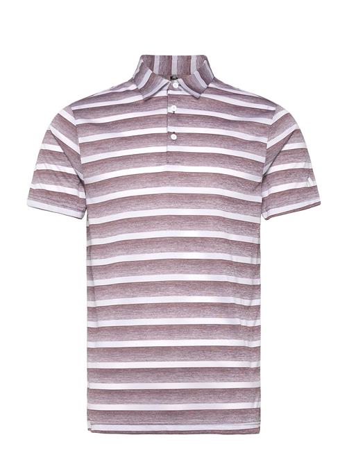 adidas Golf | 2 Color Stripe | XS