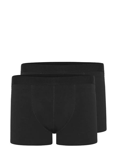 Matinique | N Grant 2-Pack | L