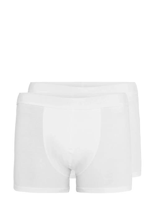 Matinique | N Grant 2-Pack | S