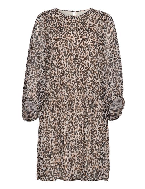 ICHI | Ihnalla Dr | 34