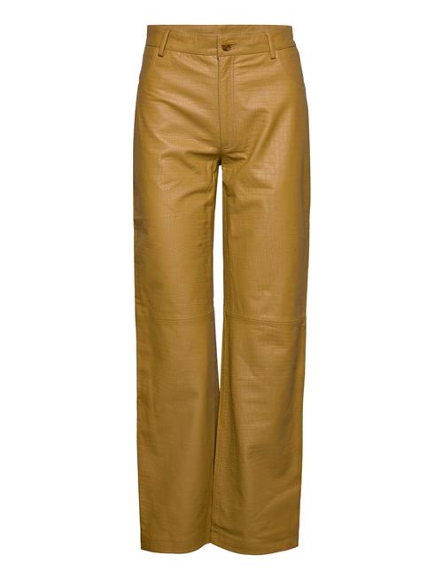 Résumé | Oasisrs Pant | 36