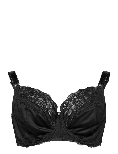 Fantasie | Reflect | G x 85