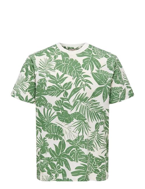 ONLY & SONS | Onsperry Life Reg Leaf Aop Ss Tee Noos | S