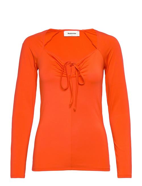 Modström | Bartomd Top | M