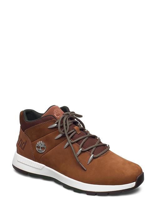 Timberland | Mid Lace Up Sneaker | 42