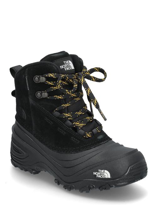 The North Face | Y Chilkat V Lace Wp | 31