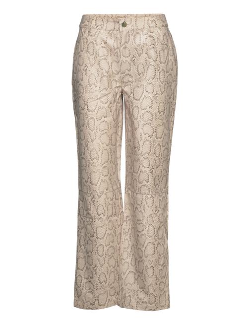 Résumé | Paomirs Pant | 40