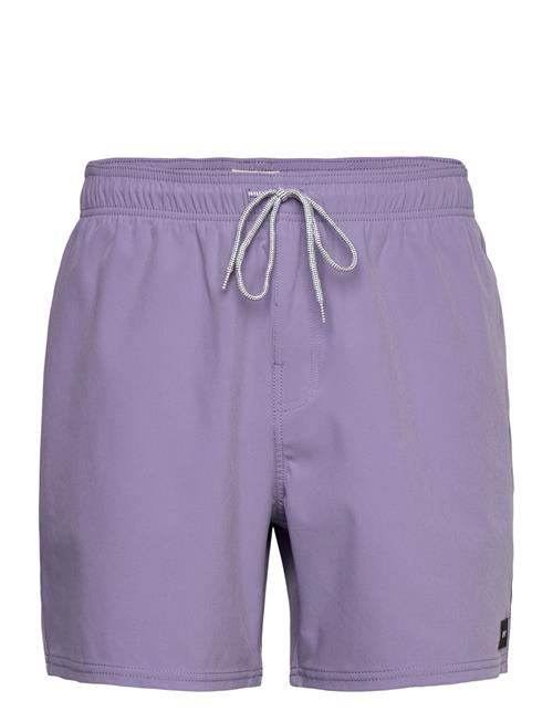 Rip Curl | Daily Volley | XL