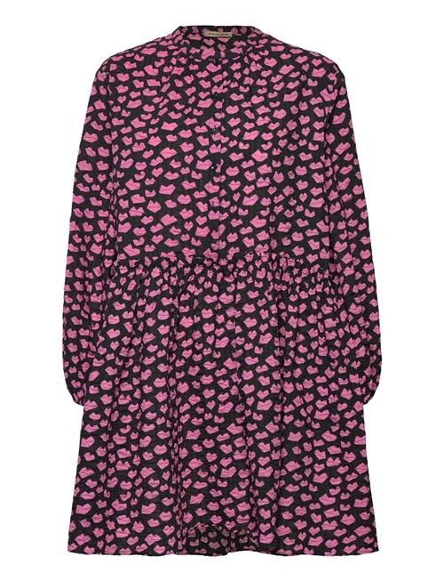 Stella Nova | Line Joe | 38