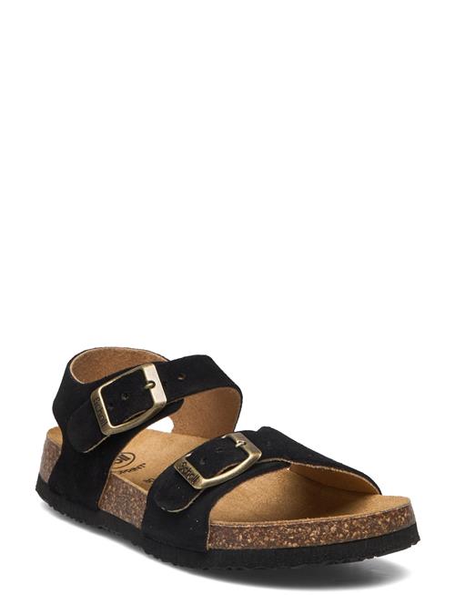 Scholl | Sl Jean Suede Black | 26