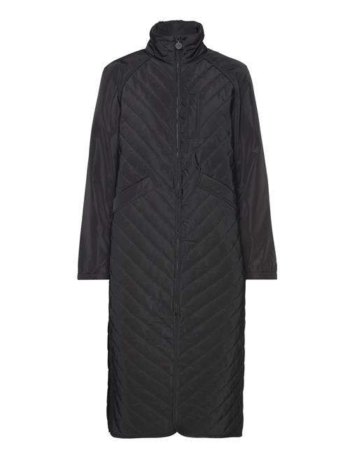 Global Funk | Haniya-G | S