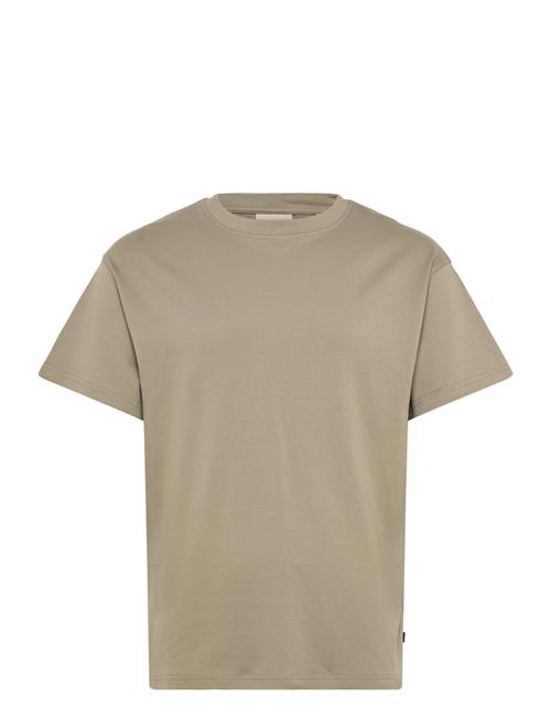 Solid | Sddanton | M