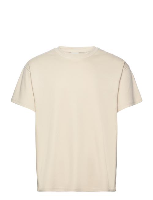 Solid | Sddanton | M