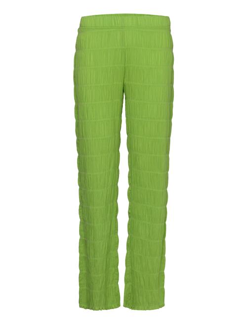 Résumé | Riors Pant | 36