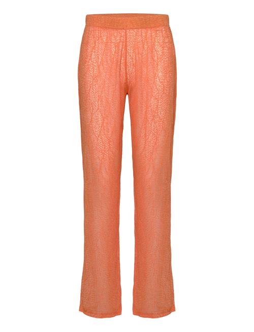 Résumé | Rayannars Pant | M