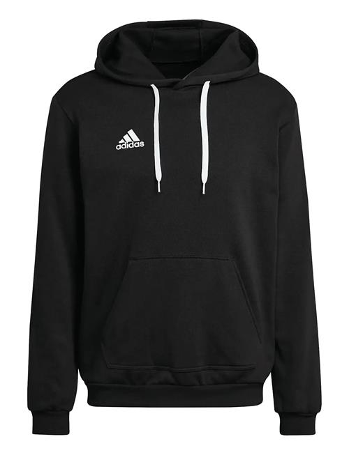 adidas Performance | Ent22 Hoody | XL