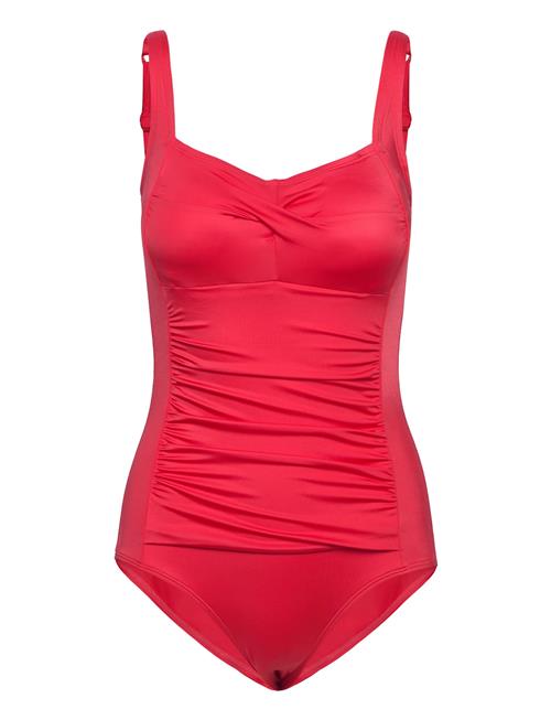 Dorina | Fiji/Eco Shaping_Swimsuit | XXL