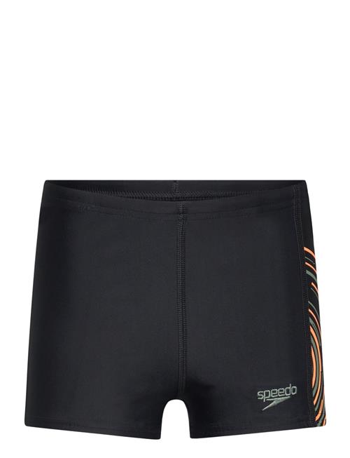 Speedo | Boys Plastisol Placement Aquashort | 176