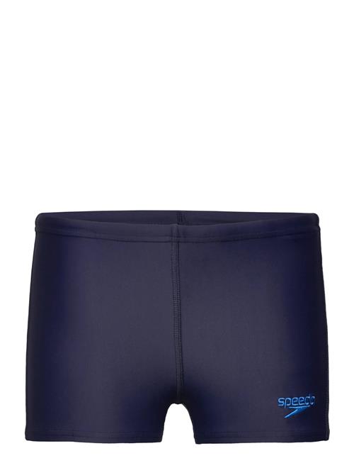 Speedo | Boys Plastisol Placement Aquashort | 176