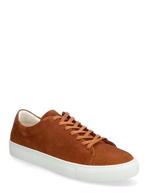 Sneaky Steve | Moore Suede Chocolate | 44