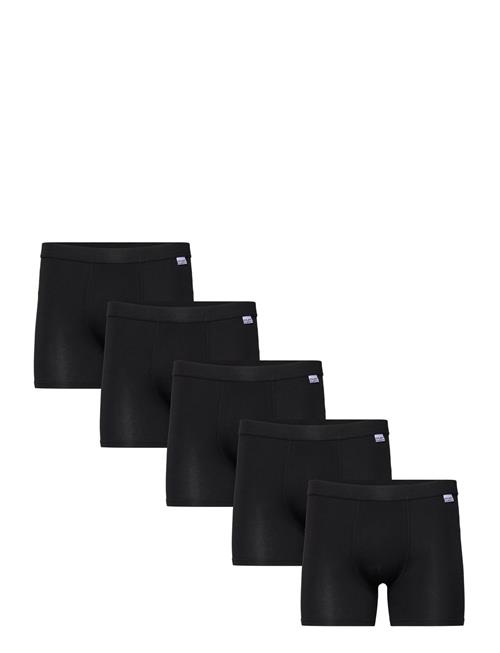 Frank Dandy | 5-P Bamboo Boxer | XXL