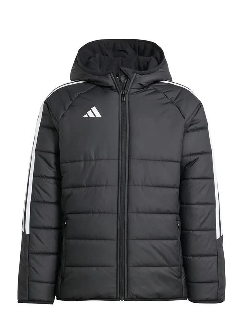 adidas Performance | Tiro24 Wintjkty | 140