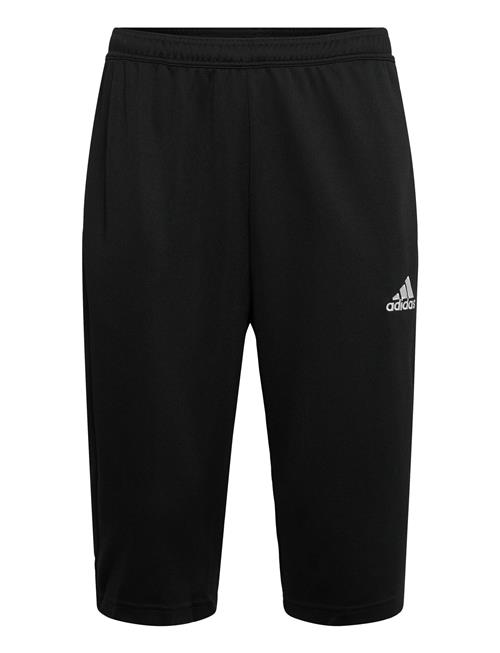 adidas Performance | Ent22 3/4 Pnt | M
