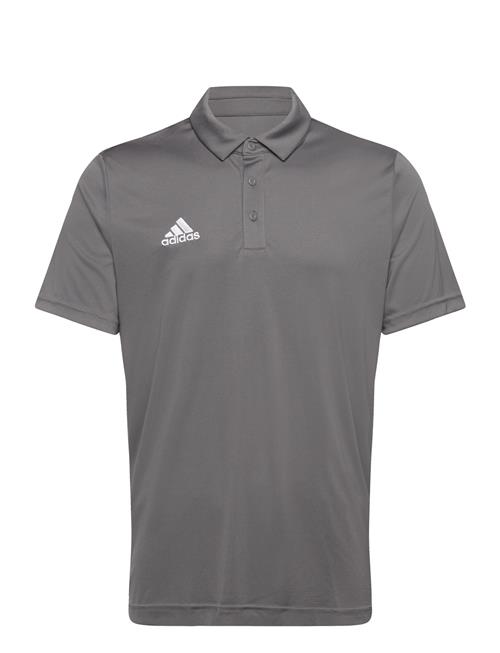adidas Performance | Ent22 Polo | S