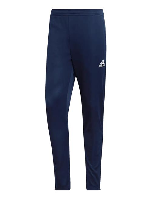 adidas Performance | Ent22 Tr Pnt | XXL