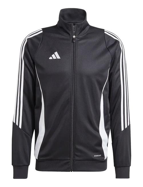 adidas Performance | Tiro24 Trjkt | S