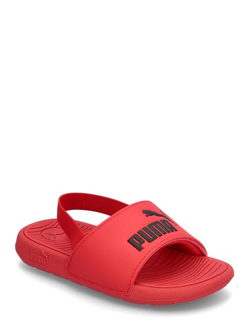 PUMA | Cool Cat 2.0 Backstrap Ac Inf | 25