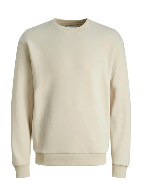 Jack & Jones | Jjebradley Sweat Crew Noos | S