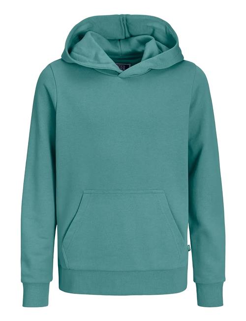 Jack & Jones | Jjebradley Sweat Hood Noos Jnr | 152
