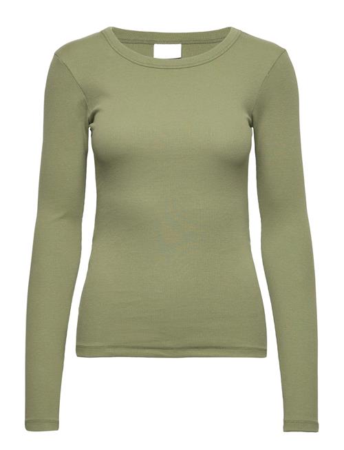 2NDDAY | 2Nd Pale Tt - Daily Cotton Rib | 32