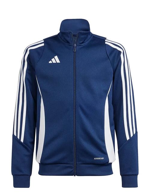 adidas Performance | Tiro24 Trjkty | 116