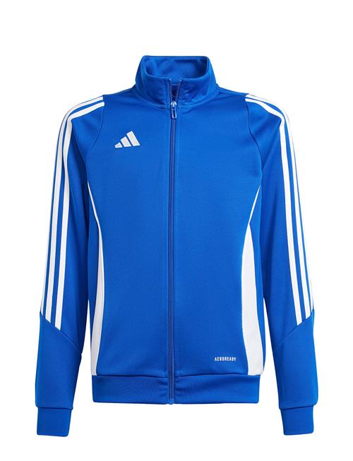 adidas Performance | Tiro24 Trjkty | 164
