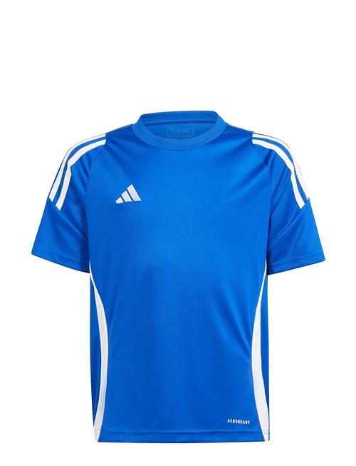 adidas Performance | Tiro24 Jsyy | 140