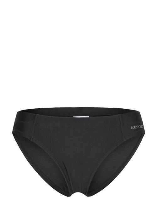 Speedo | Solid Classic Bikini Bottom | XL