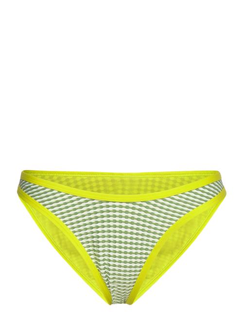 Speedo | Gingham Scoop Bottom | XL