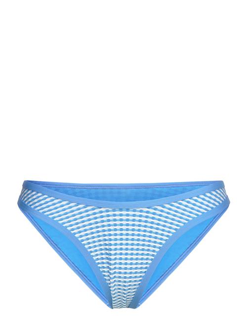 Speedo | Gingham Scoop Bottom | L