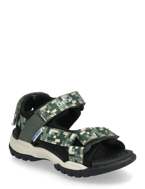 GEOX | J Borealis Boy E | 26