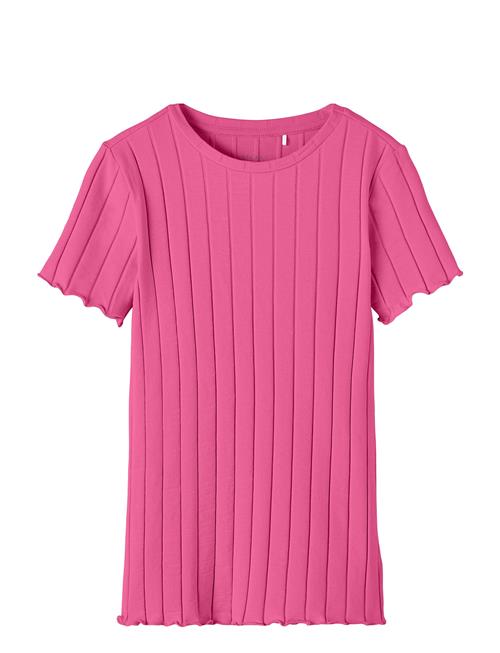 name it | Nkfnoralina Ss Top Noos | 116