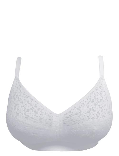 CHANTELLE | Norah Wirefree Support Bra | C x 85