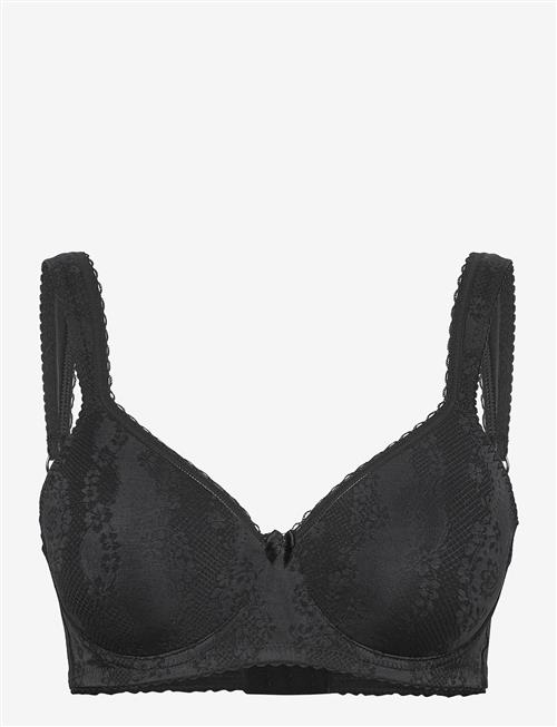 Swegmark | Adorable Shape Wire Bra Padded Cups | B x 70
