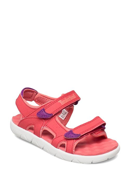 Timberland | Perkins Row Backstrap Sandal Cayenne | 27