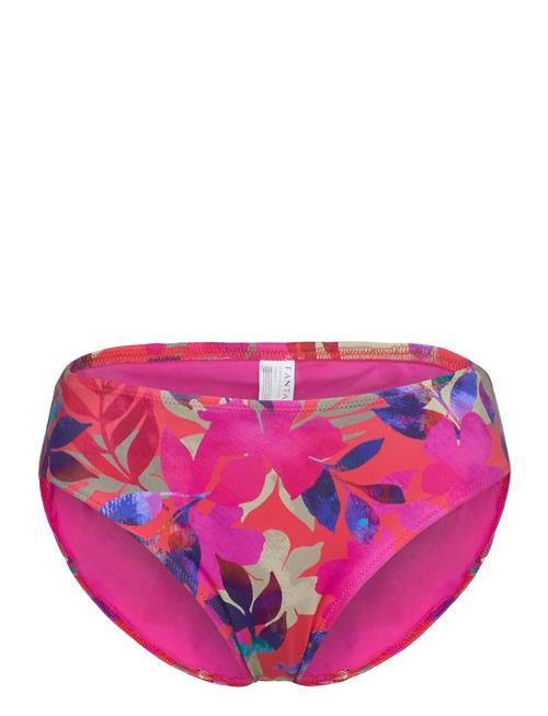 Fantasie | Playa Del Carmen Mid Rise Bikini Brief | S
